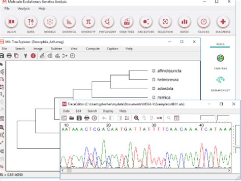 mega bioinformatics